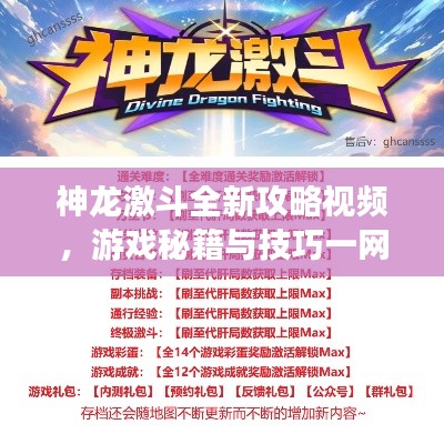 神龙激斗全新攻略视频,游戏秘籍与技巧一网打尽!