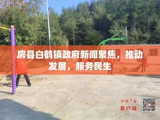 房县白鹤镇政府新闻聚焦，推动发展，服务民生