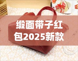 缎面带子红包2025新款,时尚传统融合典范