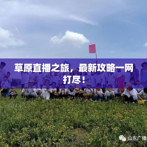 草原直播之旅,最新攻略一网打尽!
