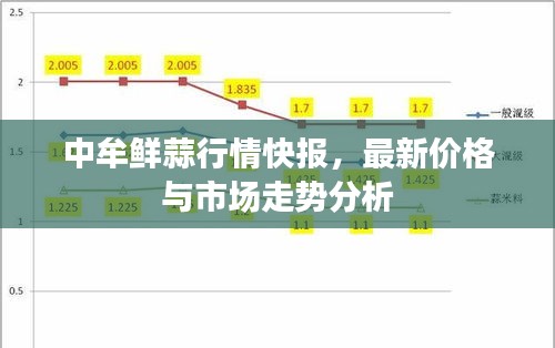 中牟鲜蒜行情快报,最新价格与市场走势分析