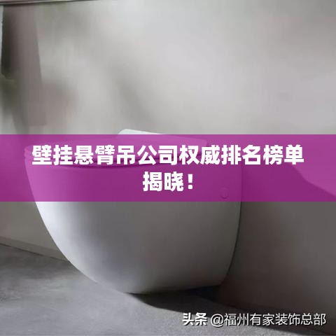 壁挂悬臂吊公司权威排名榜单揭晓!