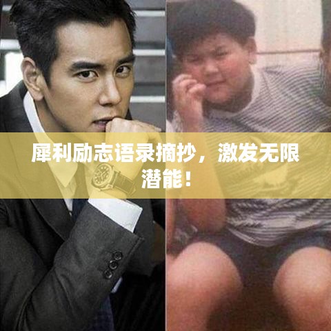 犀利励志语录摘抄,激发无限潜能!