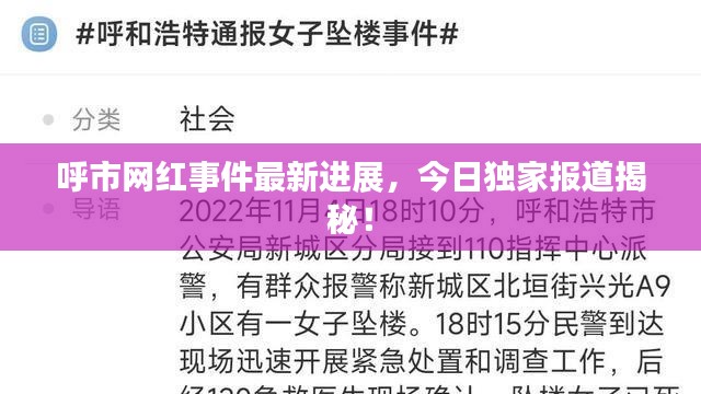 呼市网红事件最新进展，今日独家报道揭秘！