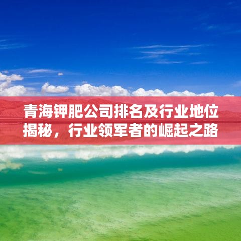 青海钾肥公司排名及行业地位揭秘，行业领军者的崛起之路