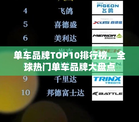 单车品牌TOP10排行榜,全球热门单车品牌大盘点