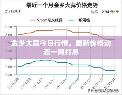 金乡大蒜今日行情,最新价格动态一网打尽