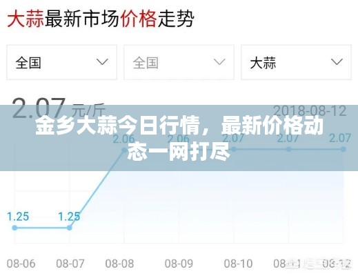 金乡大蒜今日行情,最新价格动态一网打尽