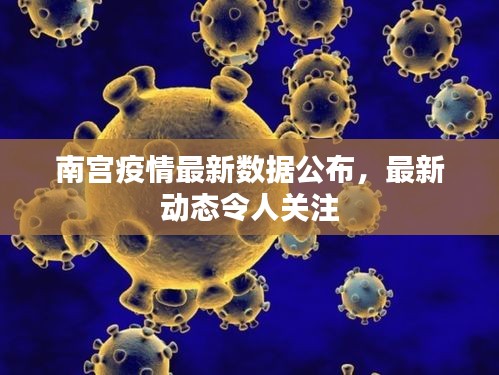 南宫疫情最新数据公布,最新动态令人关注