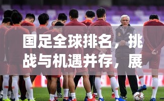国足全球排名,挑战与机遇并存,展望未来的希望之路