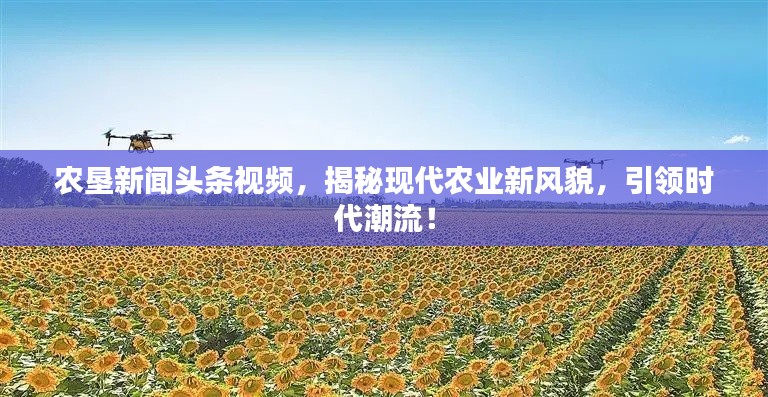 农垦新闻头条视频,揭秘现代农业新风貌,引领时代潮流!