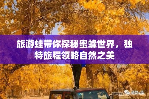 旅游蛙带你探秘蜜蜂世界,独特旅程领略自然之美