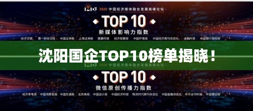 沈阳国企TOP10榜单揭晓!