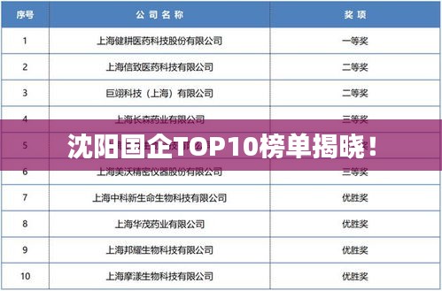 沈阳国企TOP10榜单揭晓!