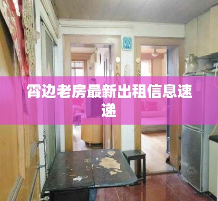 霄边老房最新出租信息速递