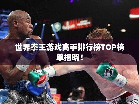 世界拳王游戏高手排行榜TOP榜单揭晓!