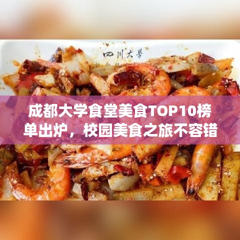 成都大学食堂美食TOP10榜单出炉,校园美食之旅不容错过!