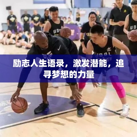 励志人生语录,激发潜能,追寻梦想的力量