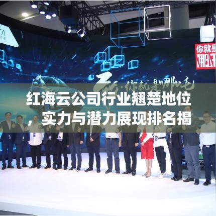 红海云公司行业翘楚地位,实力与潜力展现排名揭秘