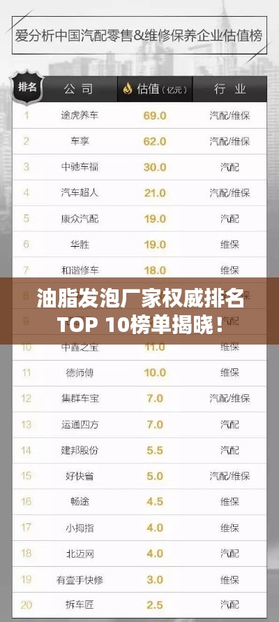 油脂发泡厂家权威排名TOP 10榜单揭晓!