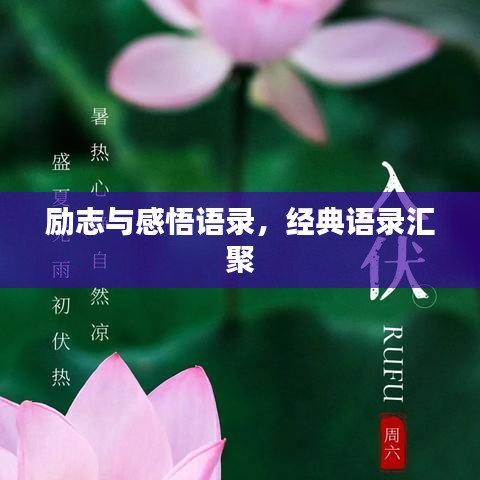 励志与感悟语录,经典语录汇聚