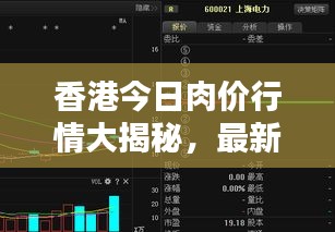 香港今日肉价行情大揭秘,最新走势分析!