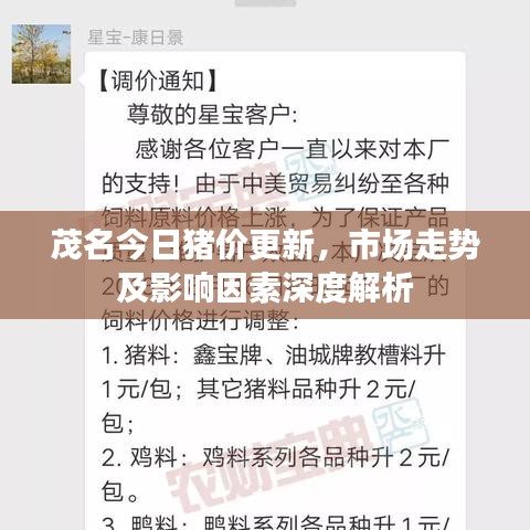 茂名今日猪价更新,市场走势及影响因素深度解析