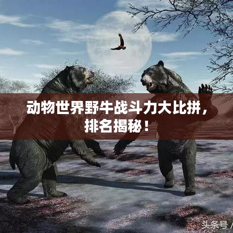 动物世界野牛战斗力大比拼,排名揭秘!