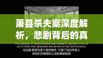 萧县杀夫案深度解析,悲剧背后的真相与启示