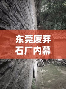 东莞废弃石厂内幕揭秘,最新消息视频探秘荒废工厂的秘密