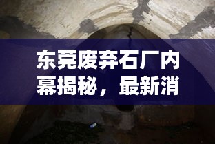 东莞废弃石厂内幕揭秘,最新消息视频探秘荒废工厂的秘密