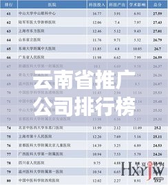 云南省推广公司排行榜TOP榜及行业影响力解析