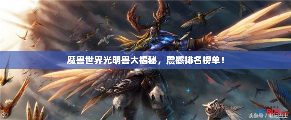 魔兽世界光明兽大揭秘,震撼排名榜单!