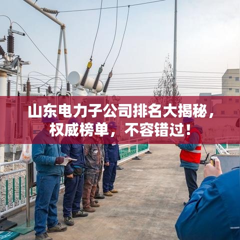 山东电力子公司排名大揭秘,权威榜单,不容错过!