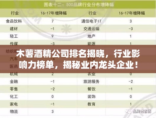 木薯酒精公司排名揭晓,行业影响力榜单,揭秘业内龙头企业!