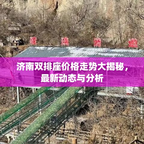 济南双排座价格走势大揭秘,最新动态与分析