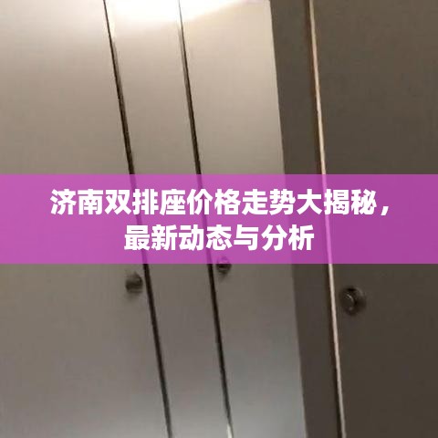 济南双排座价格走势大揭秘,最新动态与分析