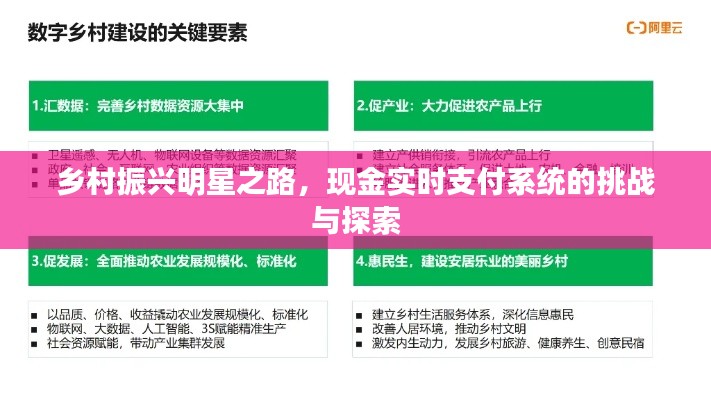 乡村振兴明星之路,现金实时支付系统的挑战与探索