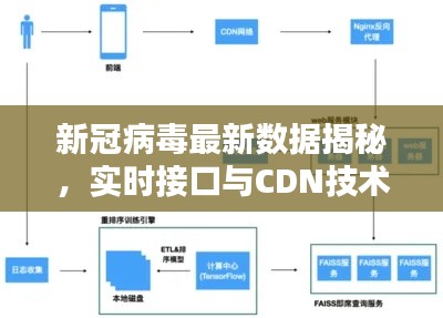 新冠病毒最新数据揭秘,实时接口与CDN技术助力疫情防控追踪