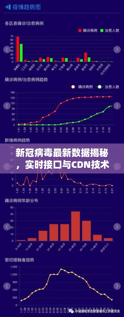 新冠病毒最新数据揭秘,实时接口与CDN技术助力疫情防控追踪