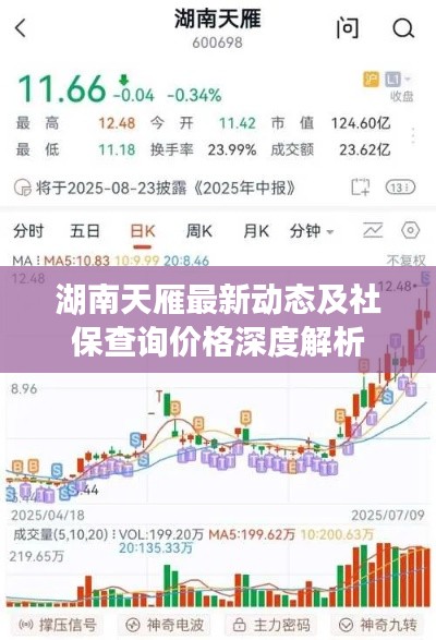 湖南天雁最新动态及社保查询价格深度解析
