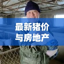 最新猪价与房地产价格走势,深度解析影响因素