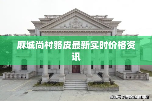 麻城尚村貉皮最新实时价格资讯