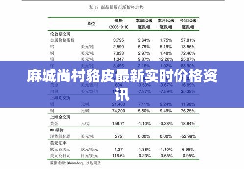 麻城尚村貉皮最新实时价格资讯