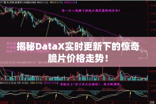 揭秘DataX实时更新下的惊奇脆片价格走势!