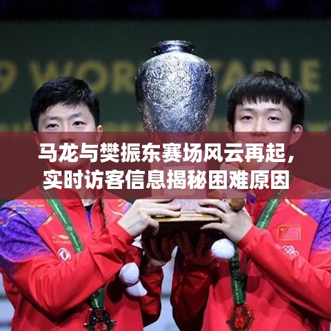 马龙与樊振东赛场风云再起，实时访客信息揭秘困难原因