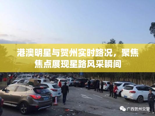 港澳明星与贺州实时路况,聚焦焦点展现星路风采瞬间