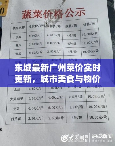 东城最新广州菜价实时更新，城市美食与物价新动态探索