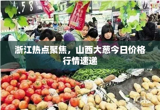 浙江热点聚焦,山西大葱今日价格行情速递