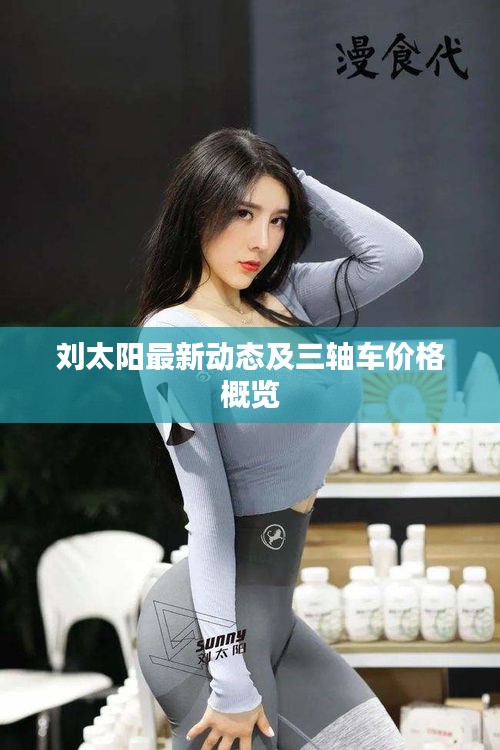 刘太阳最新动态及三轴车价格概览